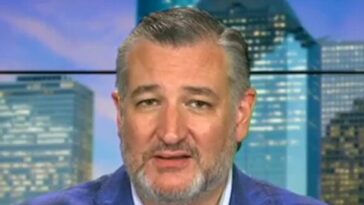 ted-cruz-to-ken-paxton’s-republican-critics:-‘stop-your-bitching’