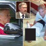 disgraced-ex-prince-andrew,-other-men-‘committed-sex-crimes-in-the-us’-with-epstein,-thomas-massie-claims