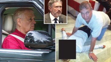 disgraced-ex-prince-andrew,-other-men-‘committed-sex-crimes-in-the-us’-with-epstein,-thomas-massie-claims