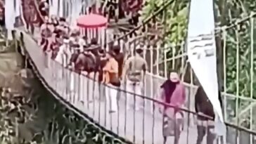 new-suspension-bridge-collapses-as-excitement-turns-to-terror-at-ribbon-cutting-ceremony