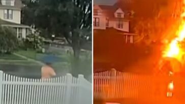 miraculous:-ny-gop-congressional-staffer-gets-struck-by-sudden-bolt-of-lighting…and-somehow-lives-to-tell-his-story-(video)