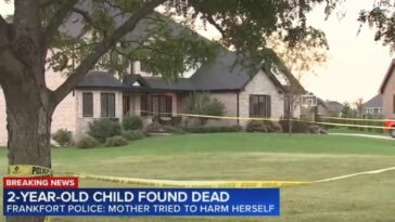 2-year-old-found-dead-in-illinois-basement;-child’s-mother-at-home-attempting-to-self-harm