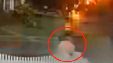 terrifying-moment-gop-staffer-is-struck-by-lightning-—-and-survives