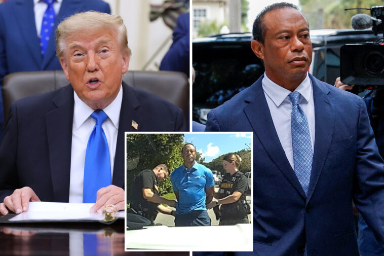 trump-praises-tiger-woods’-‘very-fair’-plea-deal-—-while-offering-some-driving-advice