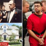 penn-state-frat-boy-went-from-dorky-li-kid-to-‘godfather’-of-campus-after-he-started-dealing-coke:-docs