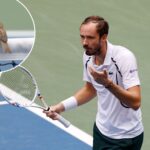 daniil-medvedev-irate-as-bird-sits-on-net-during-us-open-rally-in-wild-scene