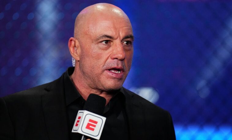 rogan-shreds-supporters-of-lindsay-clancy,-says-they-wouldn’t-rally-if-a-father-were-on-trial-for-same-crime