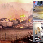 pyromaniac-caught-red-handed-setting-fresh-blazes-near-raging-nevada-inferno:-cops