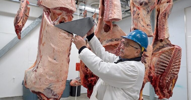 doj-announces-walmart,-costco,-amazon-are-under-investigation-in-beef-affordability-probe