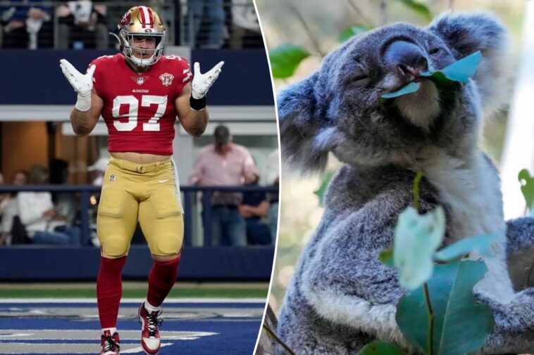 nick-bosa’s-australia-scouting-report-is-hilariously-brief