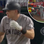 yankees’-ben-rice-injures-person-in-camera-well-with-foul-ball-in-scary-scene