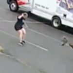mystery-animal-terrorizing-new-hampshire-neighborhood-after-attacking-3rd-person