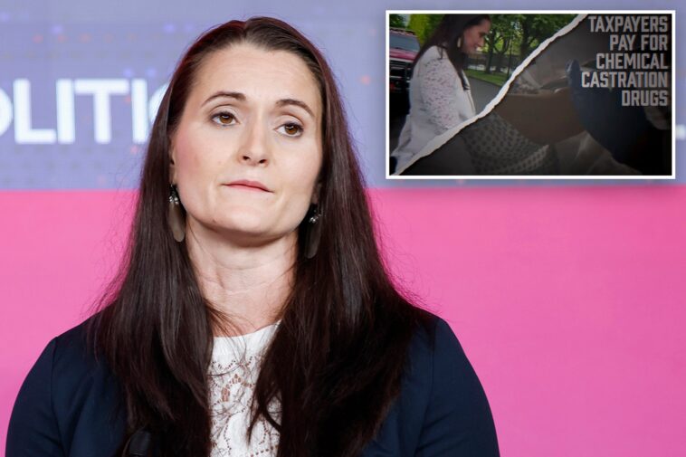 dem-ny-house-candidate-cait-conley-ripped-over-transgender-support-in-1st-gop-attack-ad-before-heated-midterm-race-against-lawler