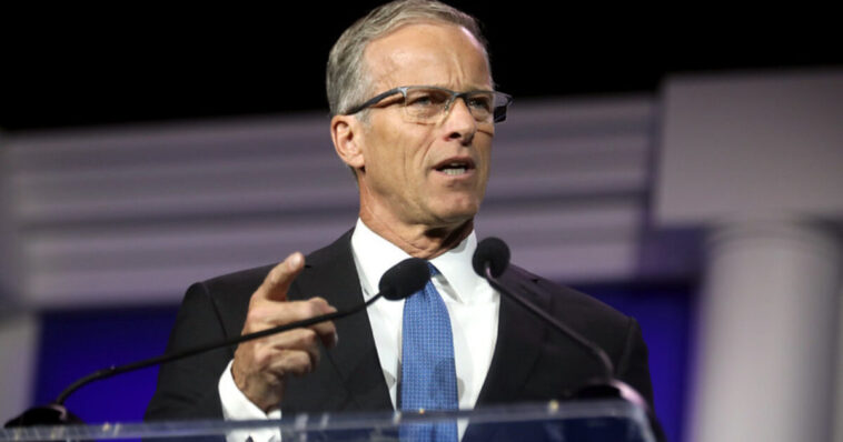 after-blocking-trump’s-election-integrity-agenda-and-demoralizing-the-gop-base,-rino-john-thune-warns-republicans-could-lose-the-senate