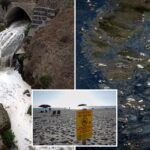 san-diego-county-reveals-plan-to-tackle-horrific-tijuana-sewage-spill-at-southern-border:-‘swift-action-is-possible’