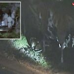 california-freeway-hell-as-two-people-ejected-sparking-lane-closures-through-rush-hour