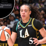 man-gets-fired-over-racist-message-to-wnba-star-dearica-hamby