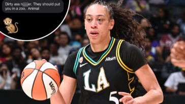 man-gets-fired-over-racist-message-to-wnba-star-dearica-hamby