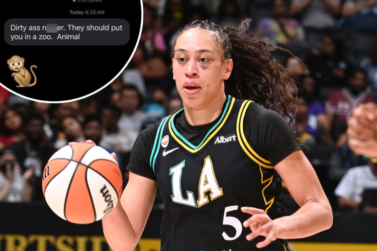 man-gets-fired-over-racist-message-to-wnba-star-dearica-hamby