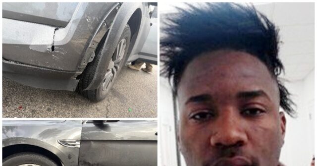 cuban-illegal-alien-gets-10-months,-fine-for-ramming-ice-vehicles-in-san-antonio