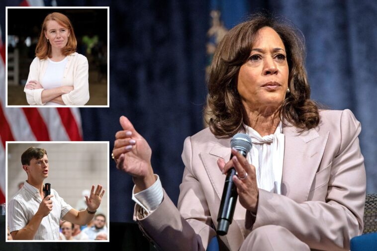 kamala-harris-brutally-snubbed-by-dems-in-battleground-races-as-she-plots-major-campaign:-‘bad-idea’