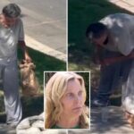 serial-pooper-wreaks-havoc-on-rich-california-neighborhood:-‘every-morning’