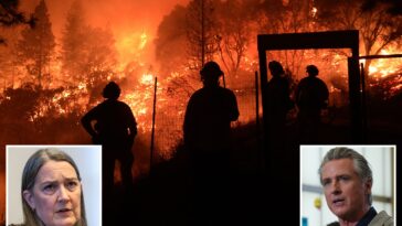 california-utility-ceo-has-meltdown-at-state-over-wildfire-fiasco-—-with-billions-of-dollars-on-the-line
