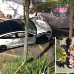 horror-as-tesla-crashes-near-busy-la-trader-joe’s-killing-one-and-injuring-others