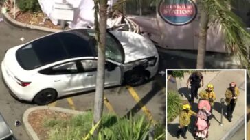 horror-as-tesla-crashes-near-busy-la-trader-joe’s-killing-one-and-injuring-others