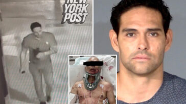 ex-jets-qb-mark-sanchez-to-plead-guilty-in-2025-attack-on-grease-truck-driver-that-left-him-badly-injured