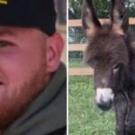 report-reveals-the-georgia-cop-who-killed-family’s-adorable-baby-donkey-and-his-stated-‘reason’-for-taking-the-animal’s-life