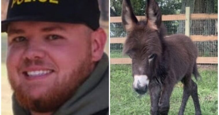 report-reveals-the-georgia-cop-who-killed-family’s-adorable-baby-donkey-and-his-stated-‘reason’-for-taking-the-animal’s-life