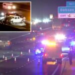 tesla-on-autopilot-halts-on-busy-highway-before-giant-f-350-truck-rear-ends-and-kills-driver