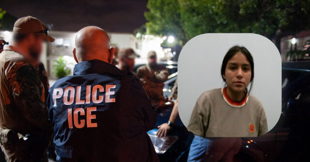 federal-court-blocks-virginia-law-banning-police-from-working-with-ice