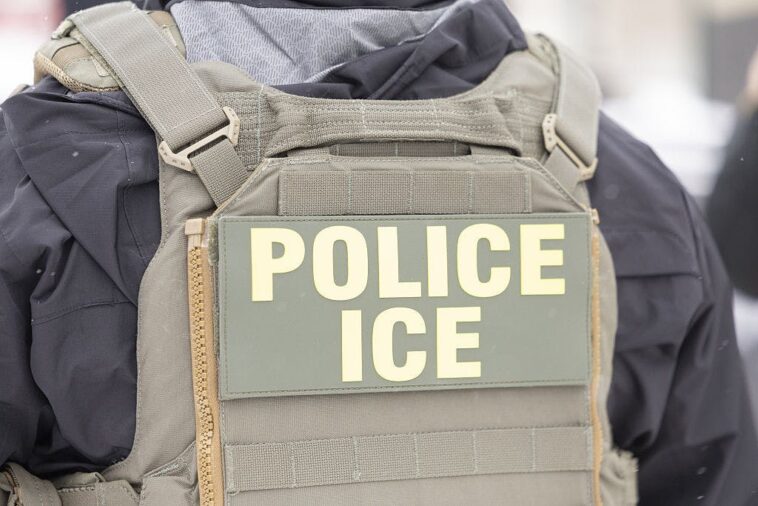 feds-charge-ice-officer-after-minnesota-shooting