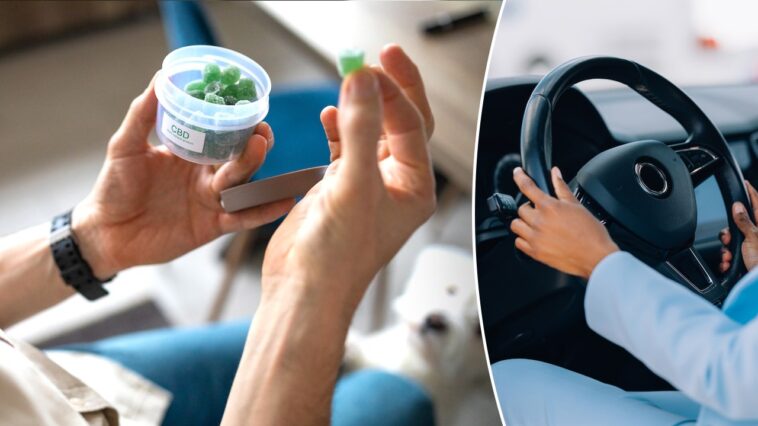 marijuana-users-may-face-hidden-driving-danger-that-standard-tests-can-miss