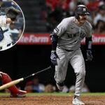 austin-wells-has-found-himself-at-the-plate-—-while-remaining-a-yankees-stalwart-behind-it