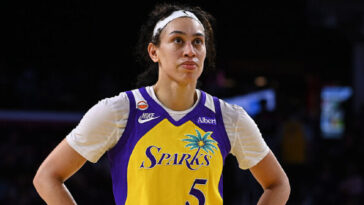 man-loses-job-after-reportedly-sending-racist-message-to-wnba’s-dearica-hamby
