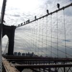 another-knife-wielding-maniac-charges-police-in-nyc