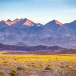 california-men-who-used-ai-to-help-plan-a-hike-end-up-stranded-on-a-mountain