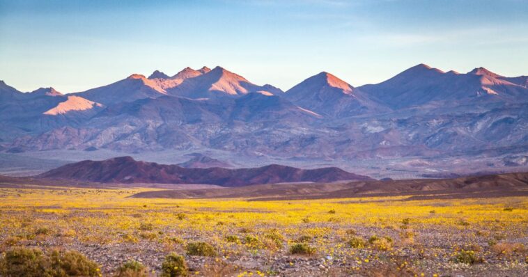 california-men-who-used-ai-to-help-plan-a-hike-end-up-stranded-on-a-mountain