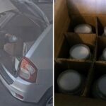 smuggler-nabbed-at-california-border-with-massive-supply-of-cancer-causing-chemicals