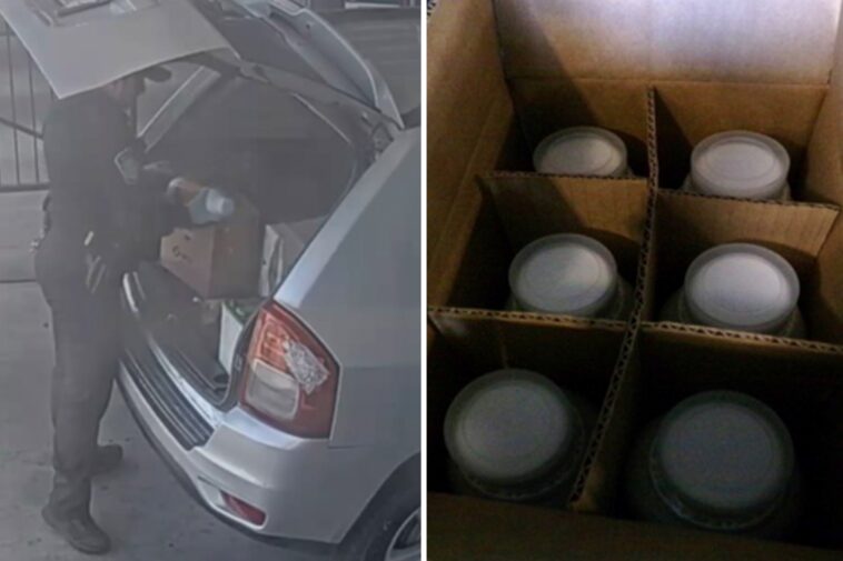 smuggler-nabbed-at-california-border-with-massive-supply-of-cancer-causing-chemicals