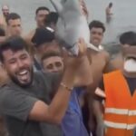 migrants-beat-baby-dolphin-to-death,-parade-carcass-like-trophy