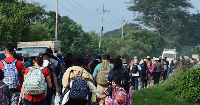 report:-foreign-born-population-in-us-shrinks-by-2.9-million-amid-trump-crackdown