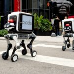 robot-dog-could-deliver-your-next-package-and-an-ad