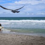 move-over,-south-beach:-3-quiet-florida-beach-alternatives-to-try-this-labor-day-weekend
