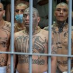 ‘activist’-san-diego-judge-frees-machete-wielding-ms-13-executioner-known-as-‘the-witch’