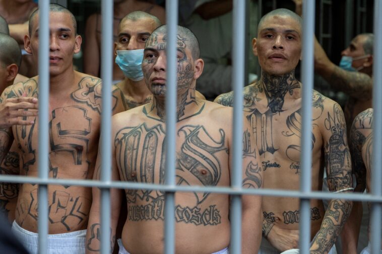 ‘activist’-san-diego-judge-frees-machete-wielding-ms-13-executioner-known-as-‘the-witch’