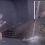 texas-deputy-jumps-out-of-his-skin,-screams-as-‘dead’-deer-springs-back-to-life-in-hilarious-video